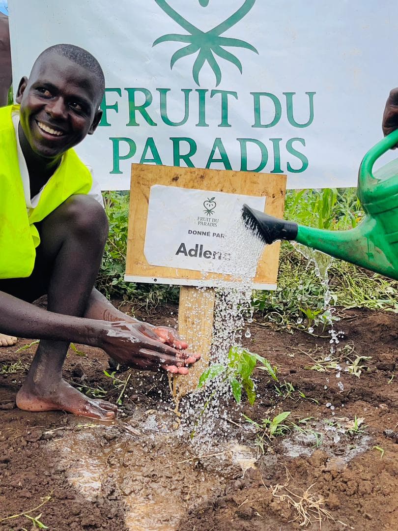 Plantation Fruit du Paradis, photo réelle du terrain.
